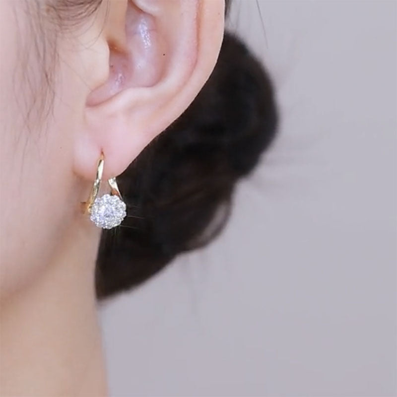 Hot SalešRotatable Zircon Earrings