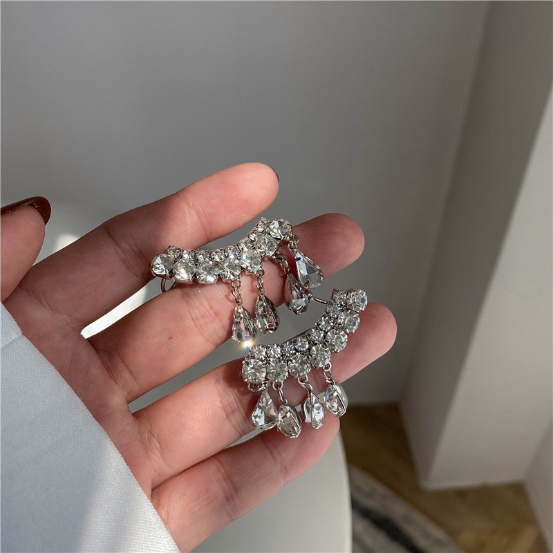 🌸French Drop Crystal Tassel Earrings
