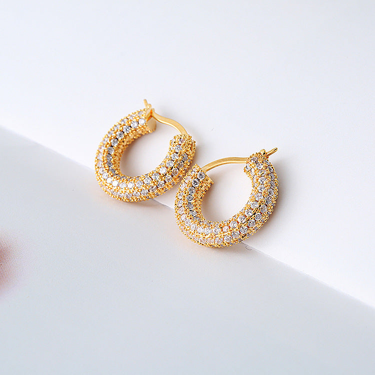 Sparkling Hoop Fashion Earrings