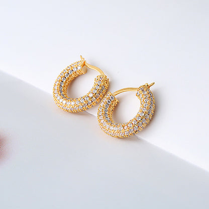 Sparkling Hoop Fashion Earrings