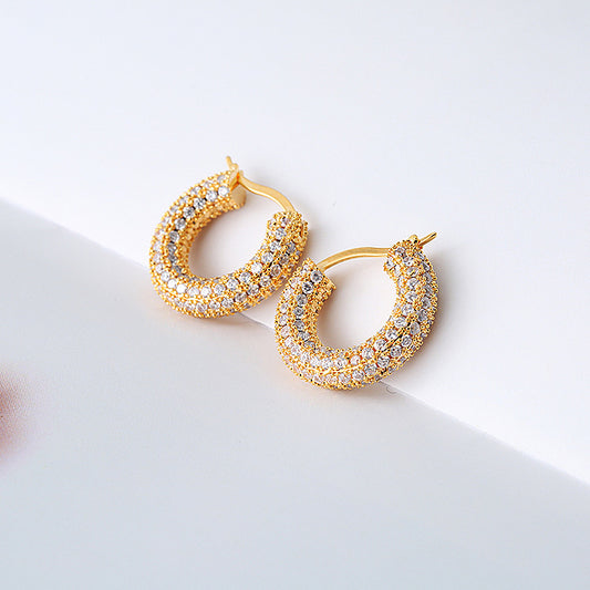 Sparkling Hoop Fashion Earrings