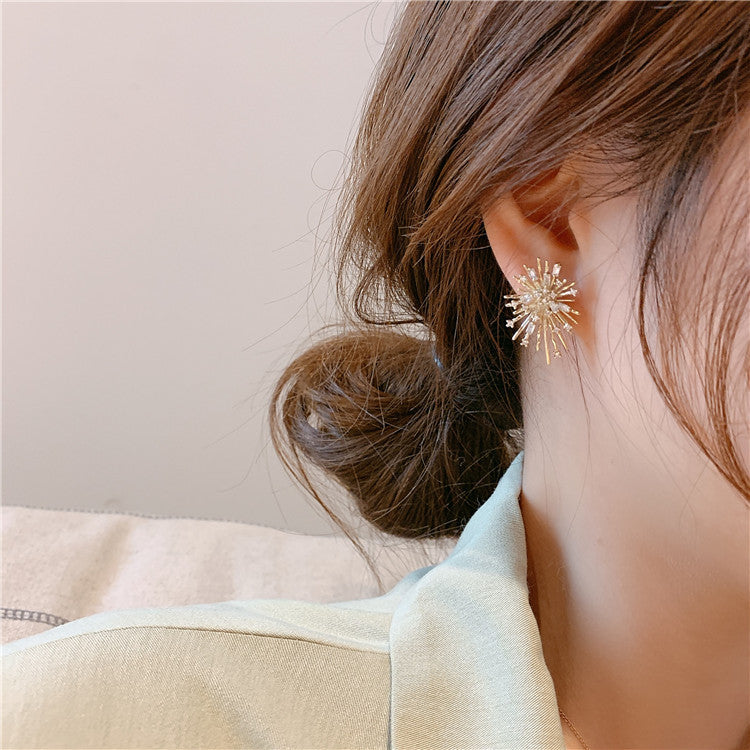 🌸Zircon Romantic Fireworks Earrings