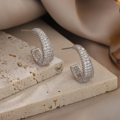 🌸Italian Style Zircon Earrings