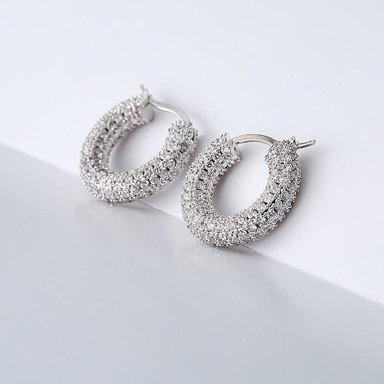 Sparkling Hoop Fashion Earrings