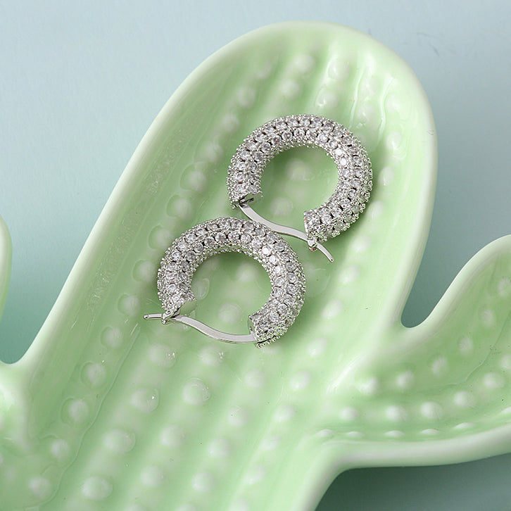 Sparkling Hoop Fashion Earrings